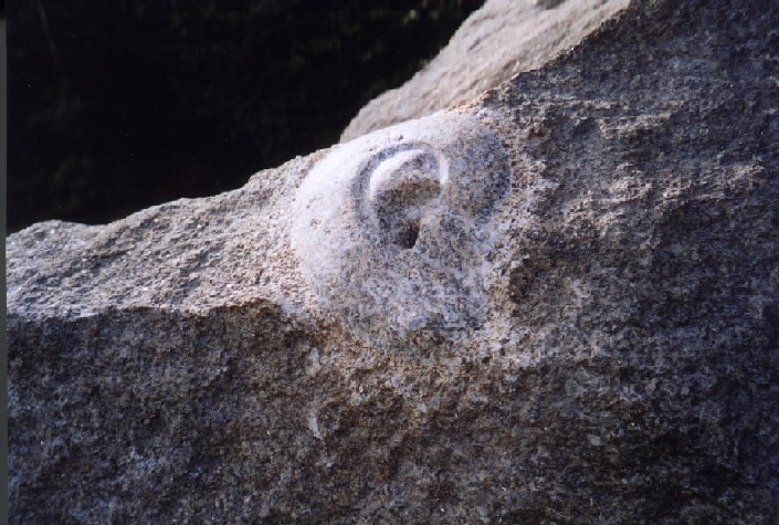 Detail Steinskulptur Zwei in Einem, Reidelbach